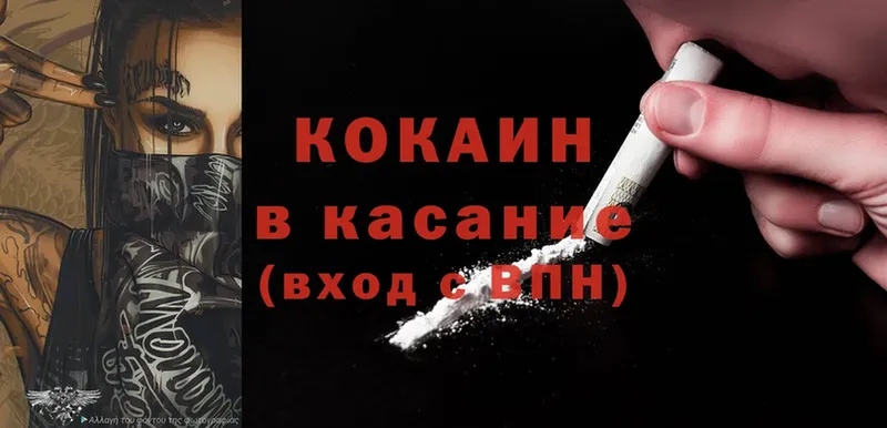 Cocaine Fish Scale  закладки  МЕГА ONION  Чкаловск 