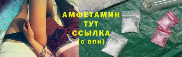 ГАЛЛЮЦИНОГЕННЫЕ ГРИБЫ Балахна